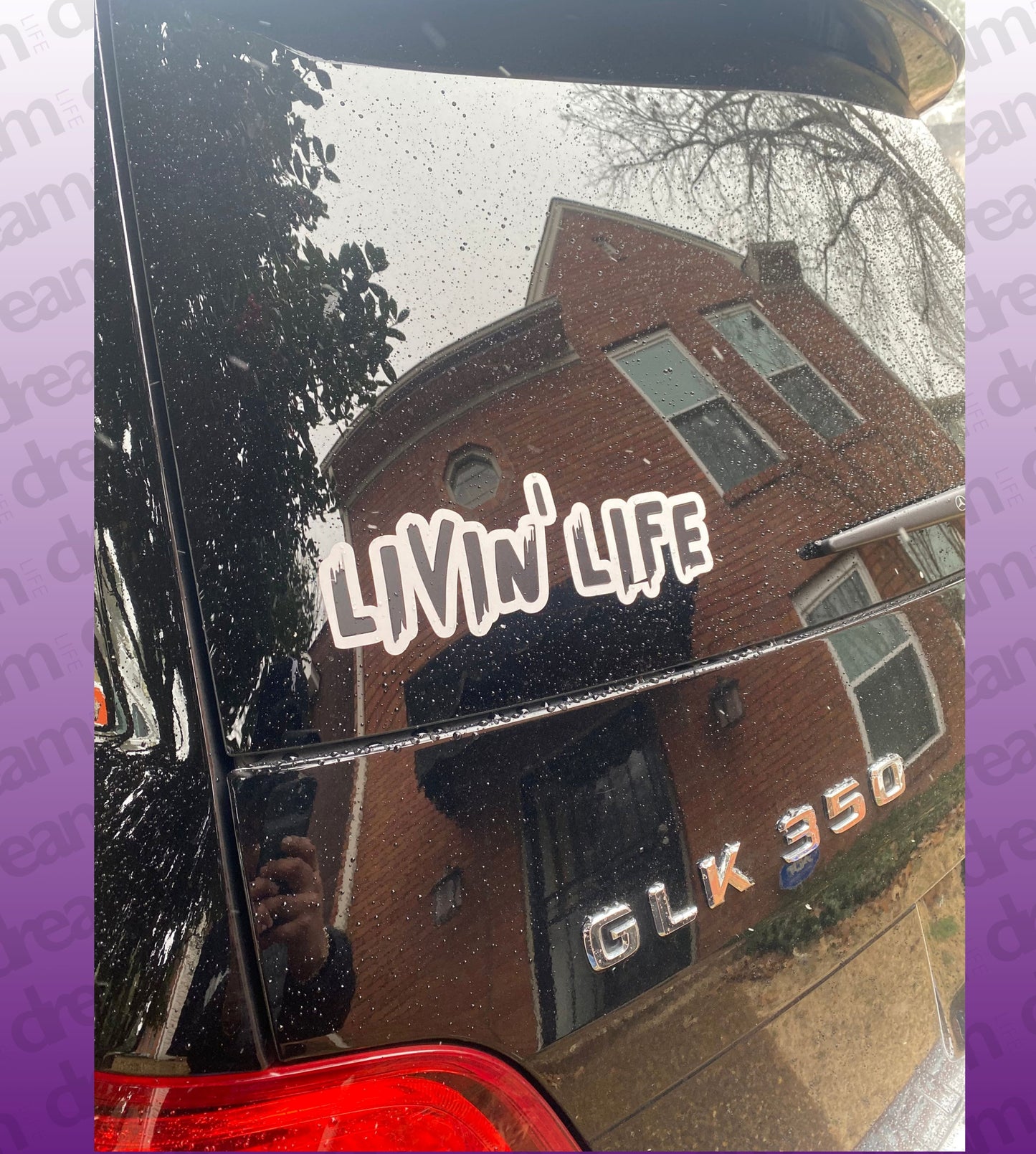 Custom Car or Trailer Decals